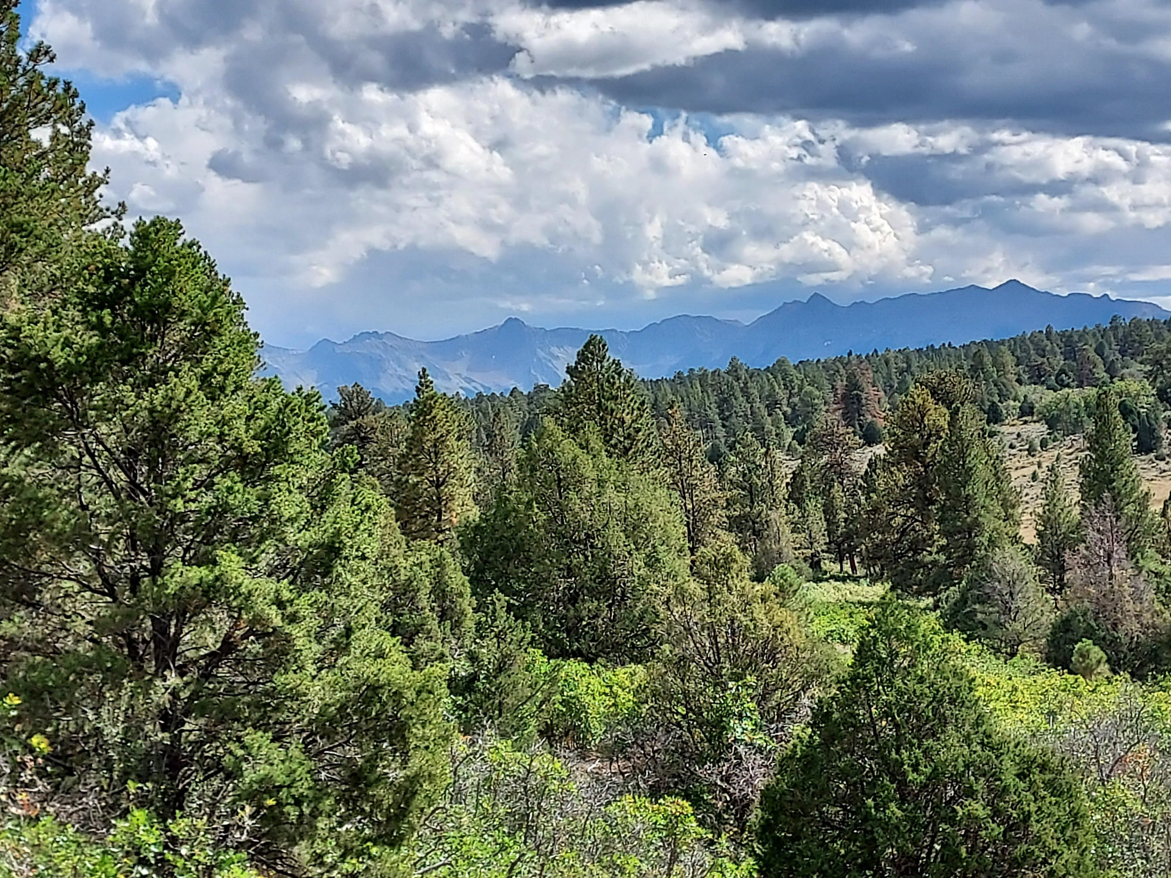 Colorado Hunting Land for Sale between 250K and 500K 48 Listings