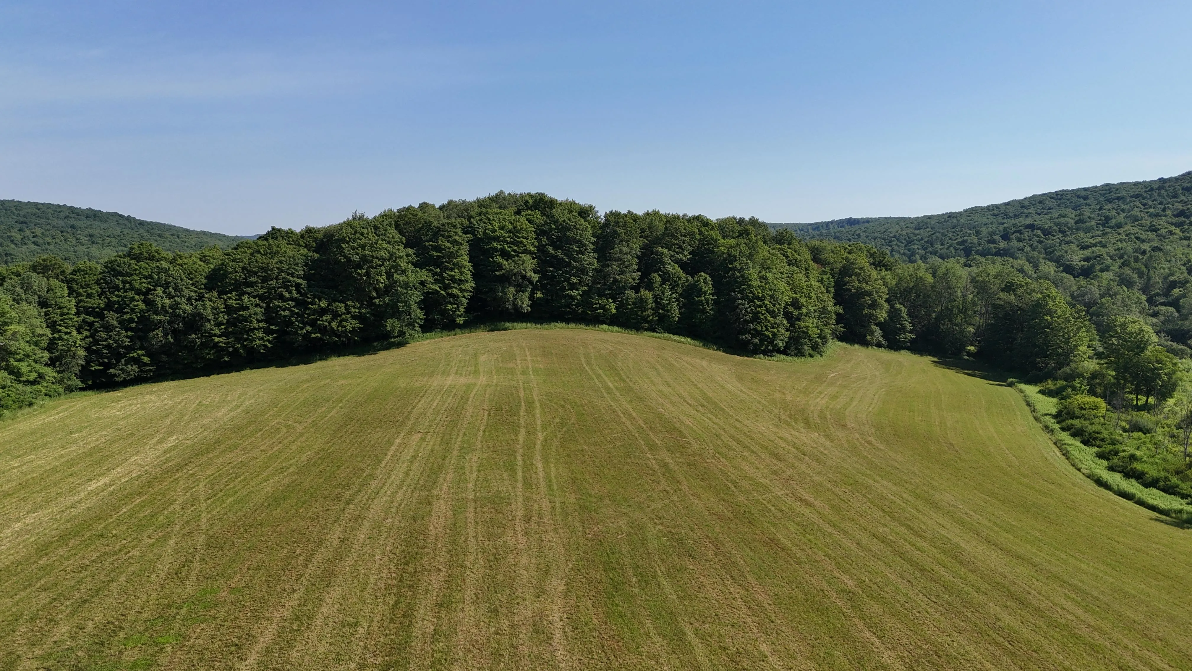 New York Farms and Ranches for Sale 280 Listings LandWatch