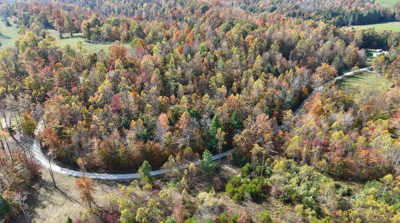 Kentucky Undeveloped Land for Sale 2,182 Listings LandWatch