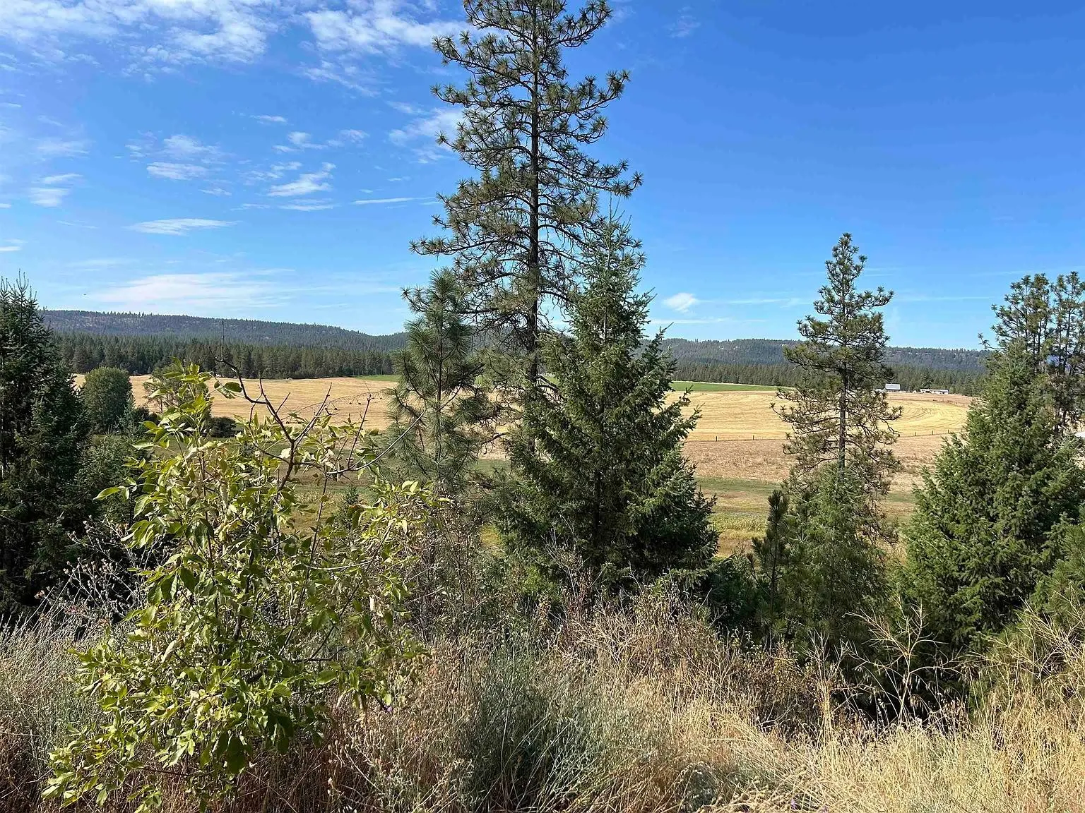 Washington Hunting Land for Sale, Hunting Land for Sale in Washington
