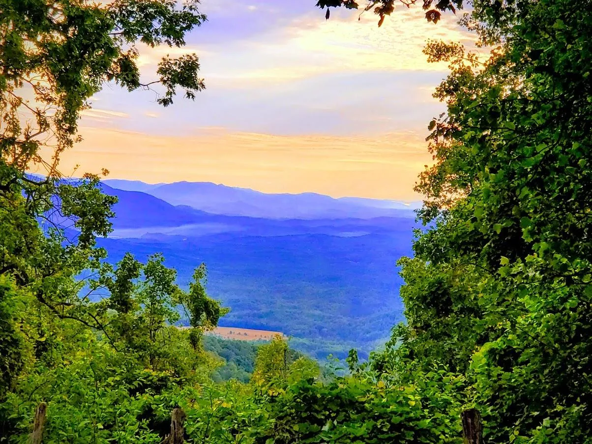 Wilkes County, NC Land for Sale, Land for Sale in Wilkes County, NC