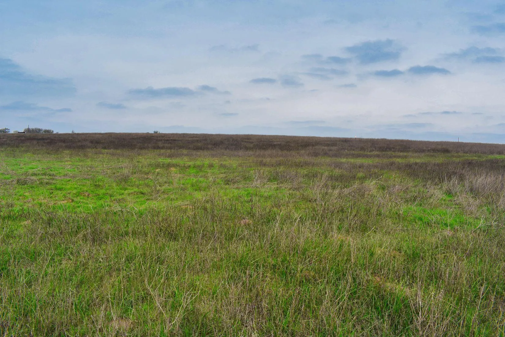 LAND FOR SALE IN SAN ANTONIO TEXAS BY OWNER visual data 5