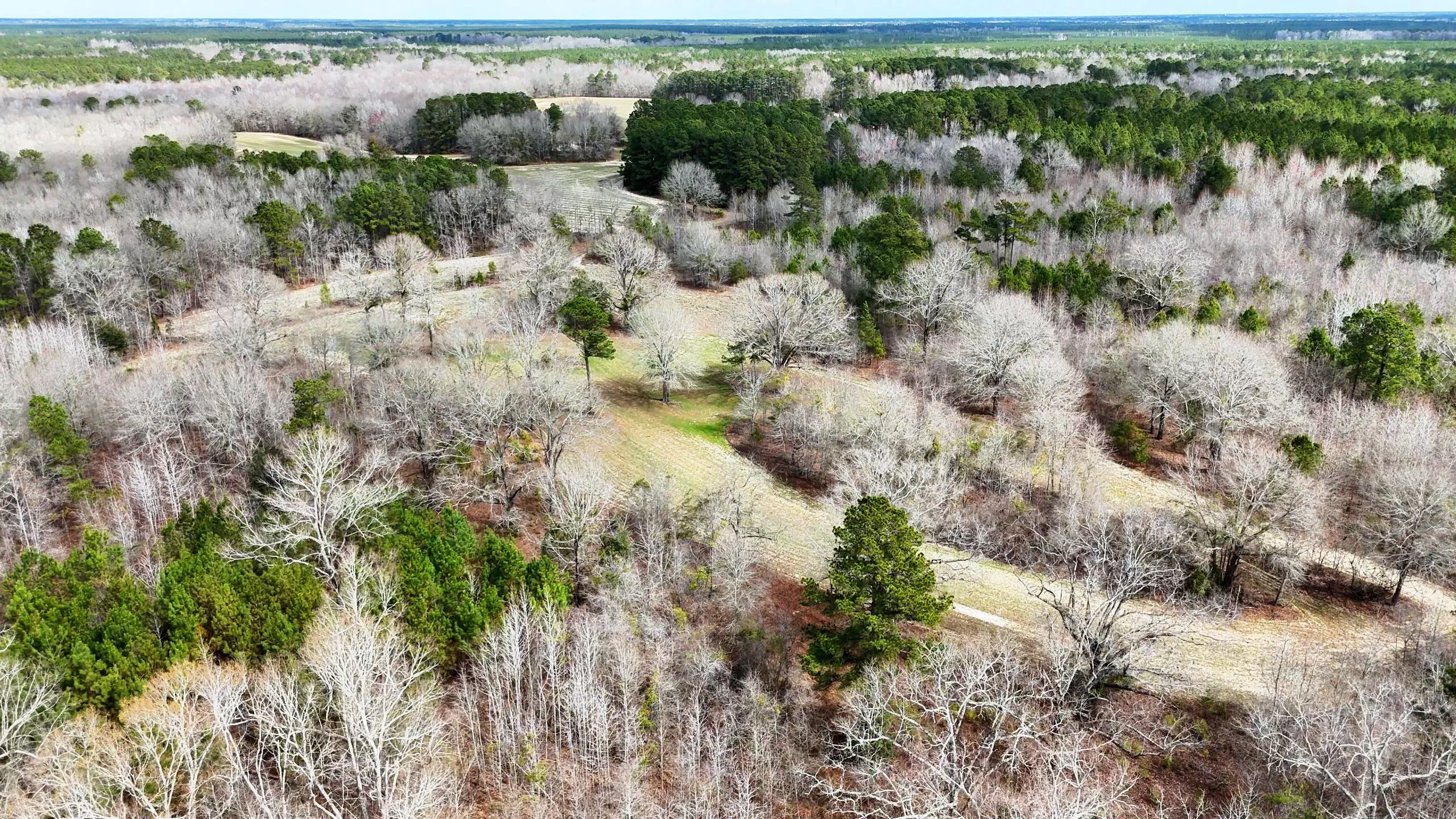 LAND FOR SALE IN SOUTH CAROLINA visual data 6