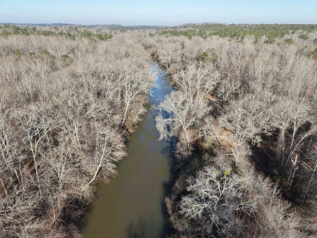 Georgia Land for Sale, Land for Sale in Georgia, Land for Sale Near Me ...