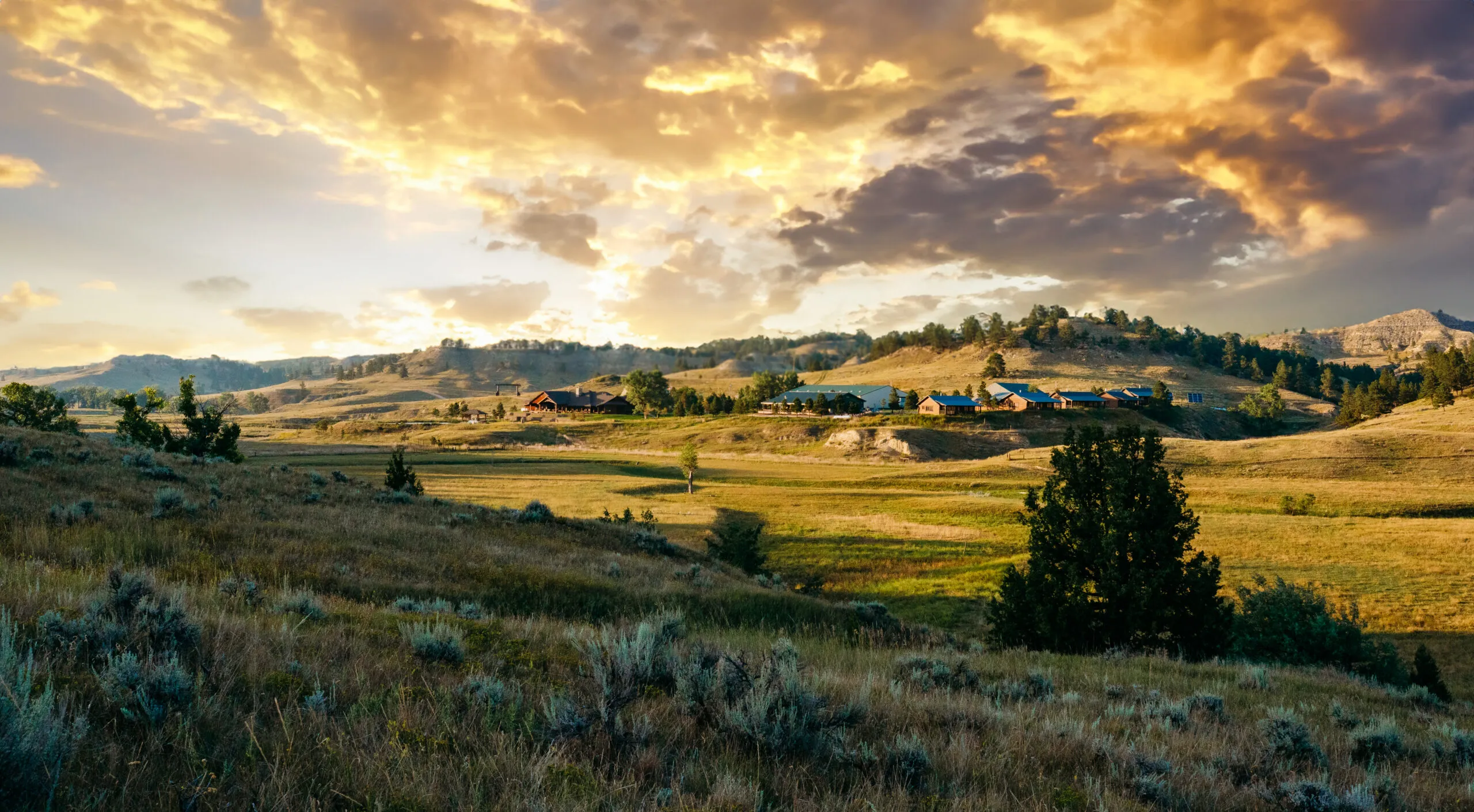 Wy Land