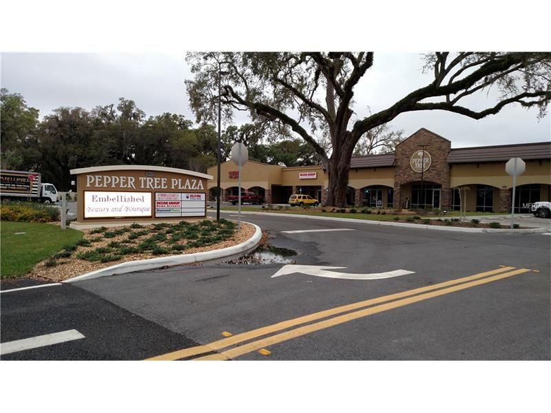 Wildwood, Sumter County, FL Commercial Property, House for sale