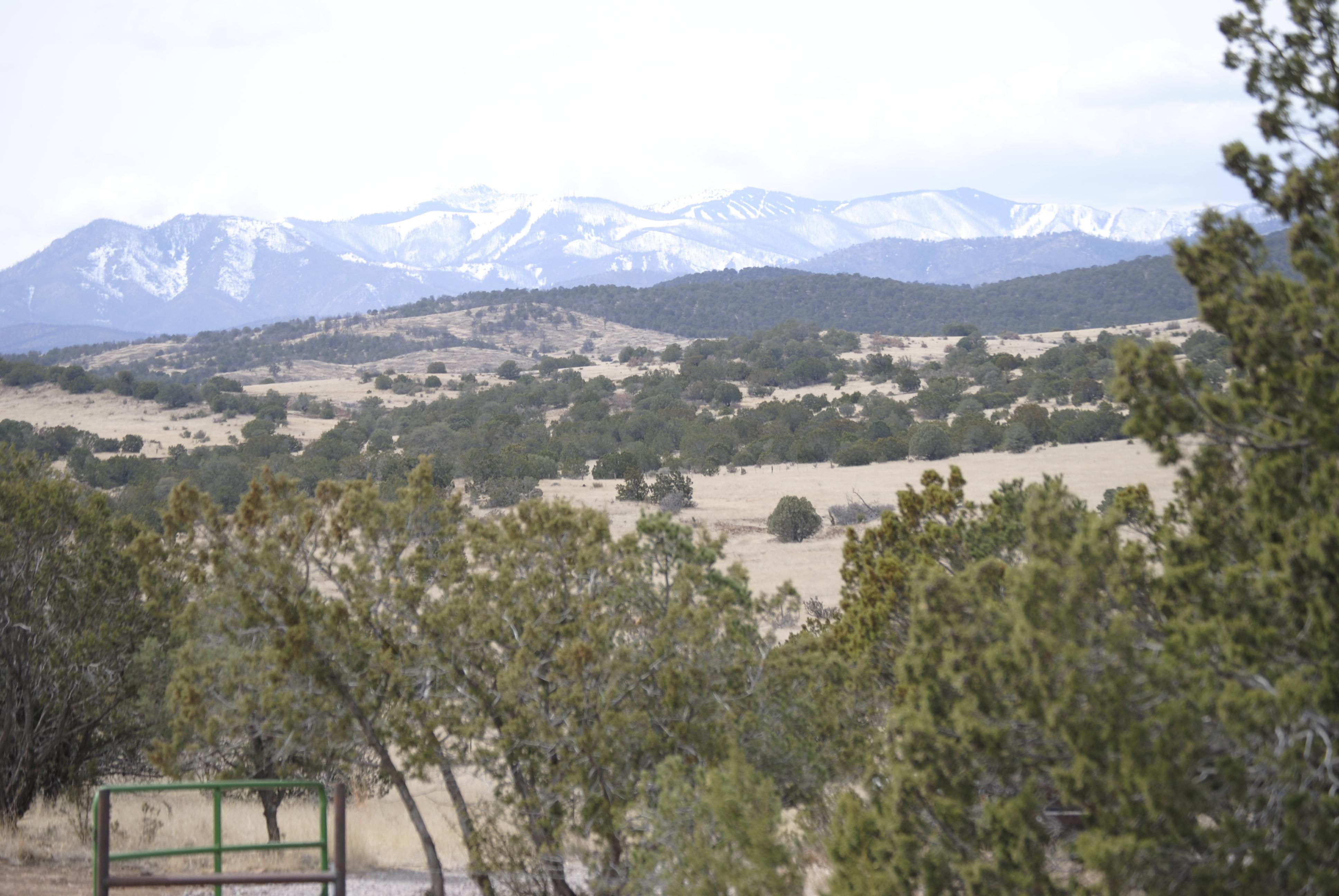 Capitan, Lincoln County, NM Farms and Ranches for sale Property ID