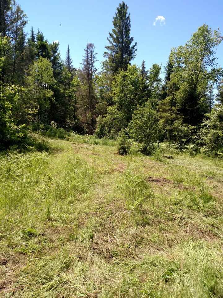 Chassell, Houghton County, MI Undeveloped Land, Lakefront Property