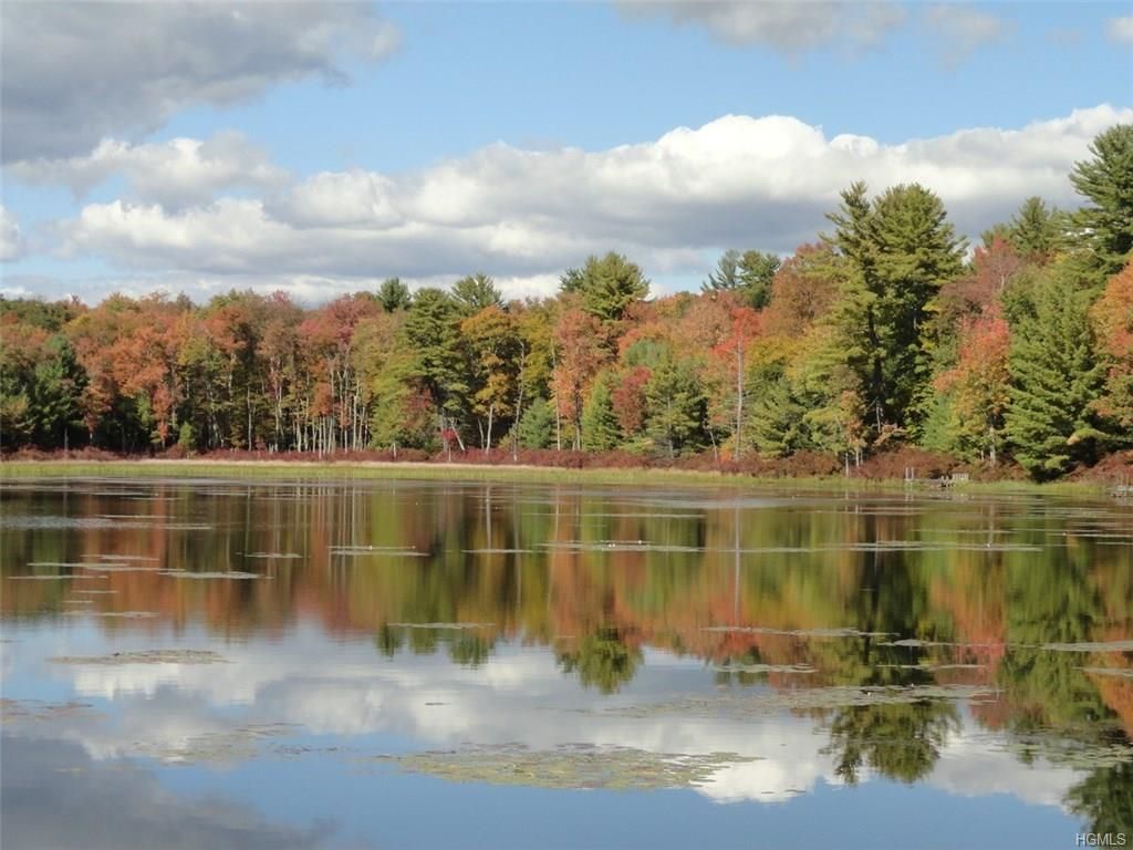 Forestburgh, Sullivan County, NY Undeveloped Land, Homesites for sale