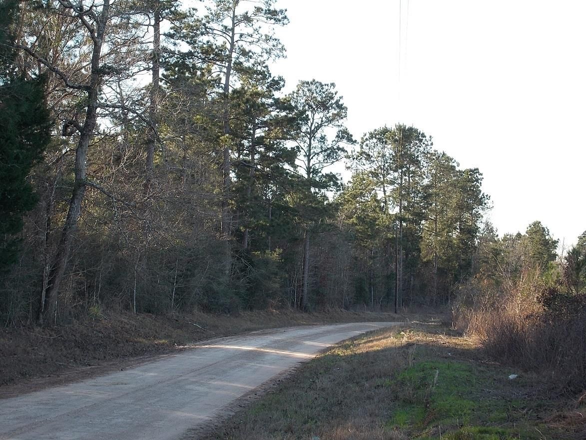 Livingston, Polk County, TX Recreational Property, Hunting Property for