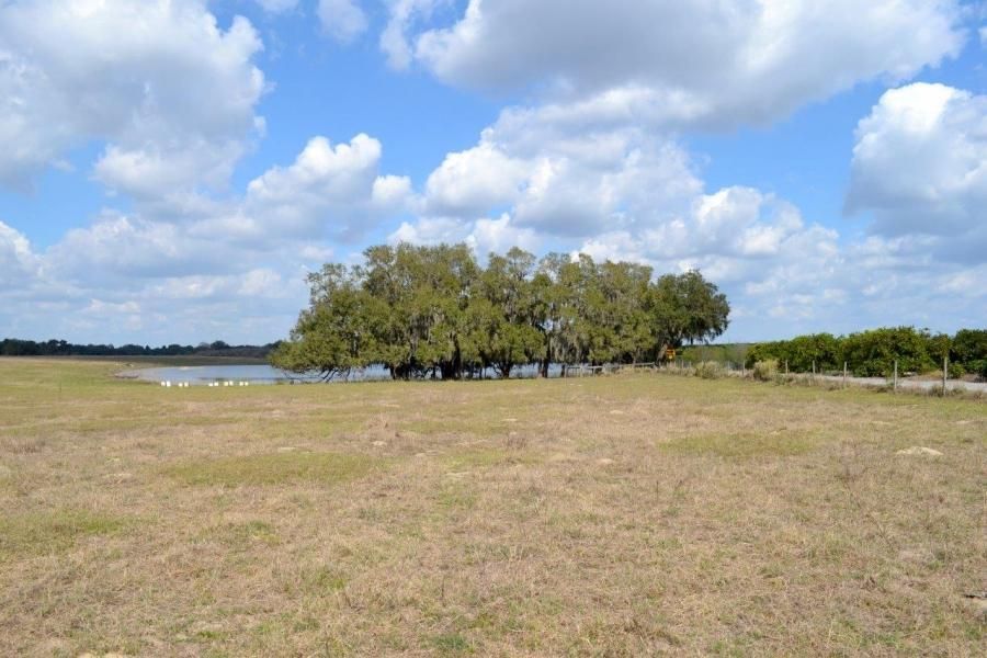 Lake Wales, Polk County, FL Recreational Property, Undeveloped Land for