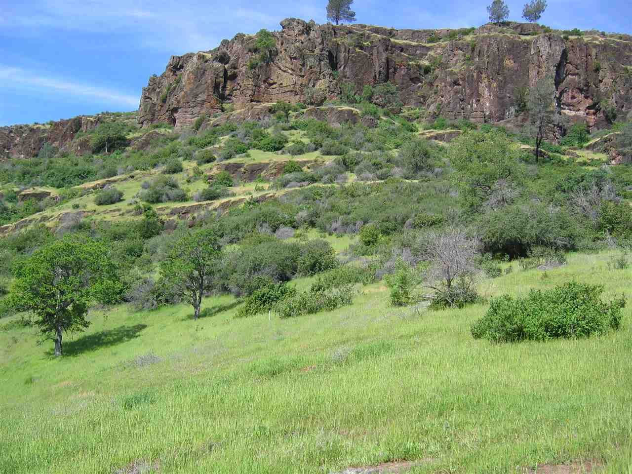 Chico, Butte County, CA Undeveloped Land for sale Property ID 28168461
