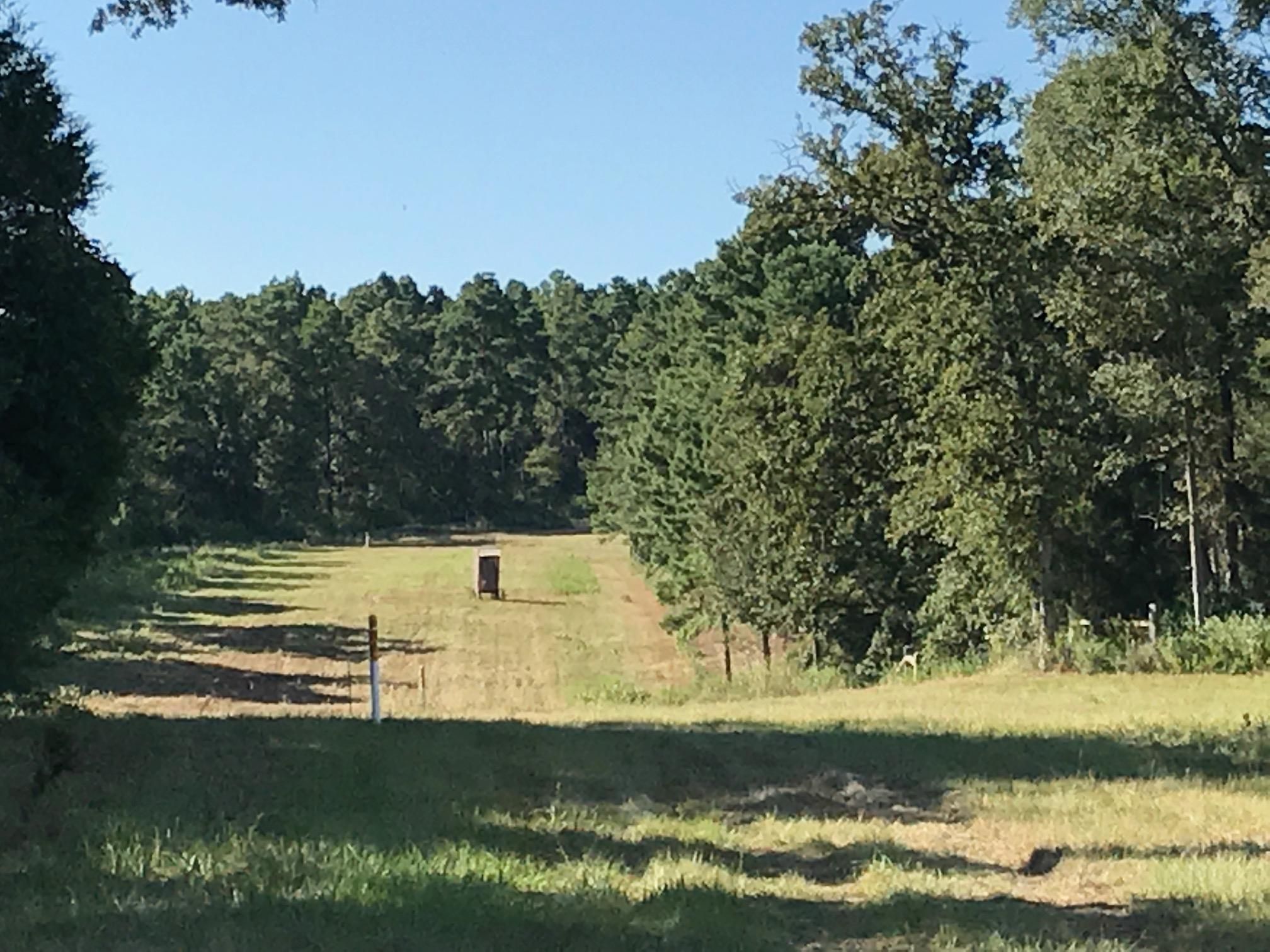 Centerville, Leon County, TX Recreational Property, Undeveloped Land