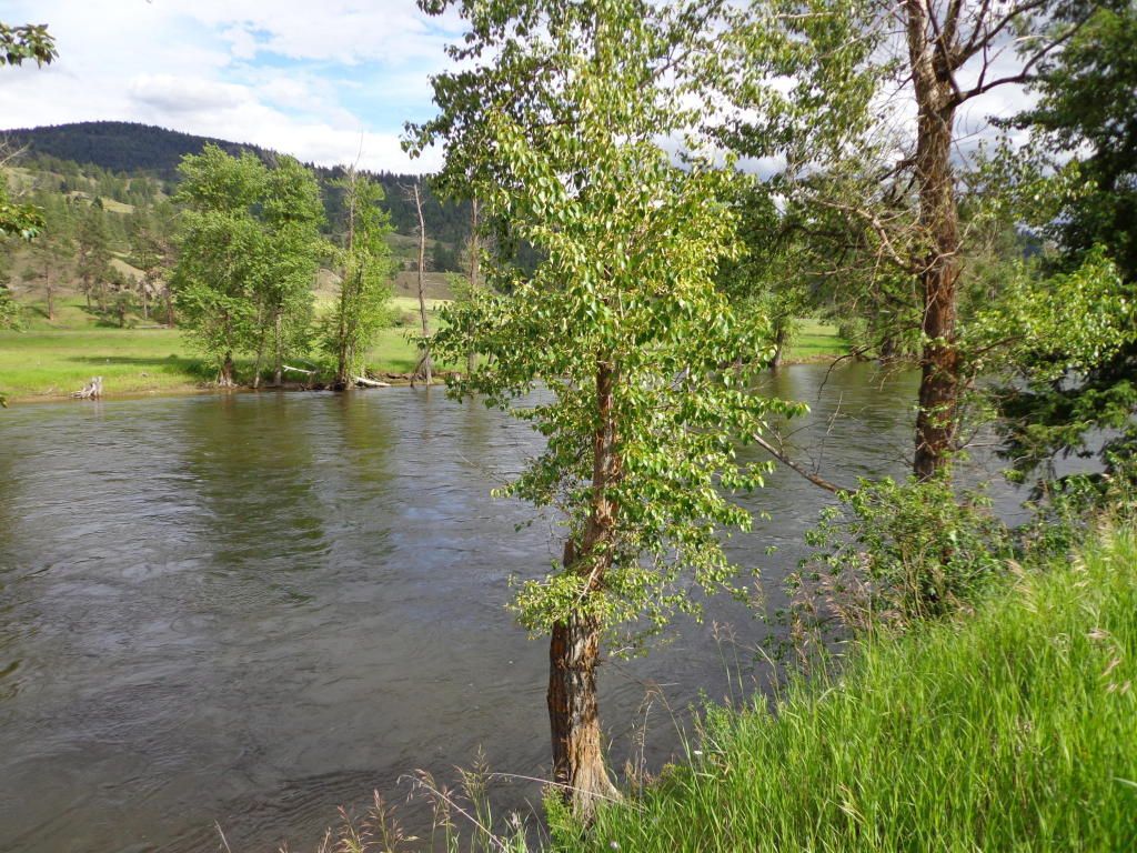Curlew, Ferry County, WA Undeveloped Land, Lakefront Property