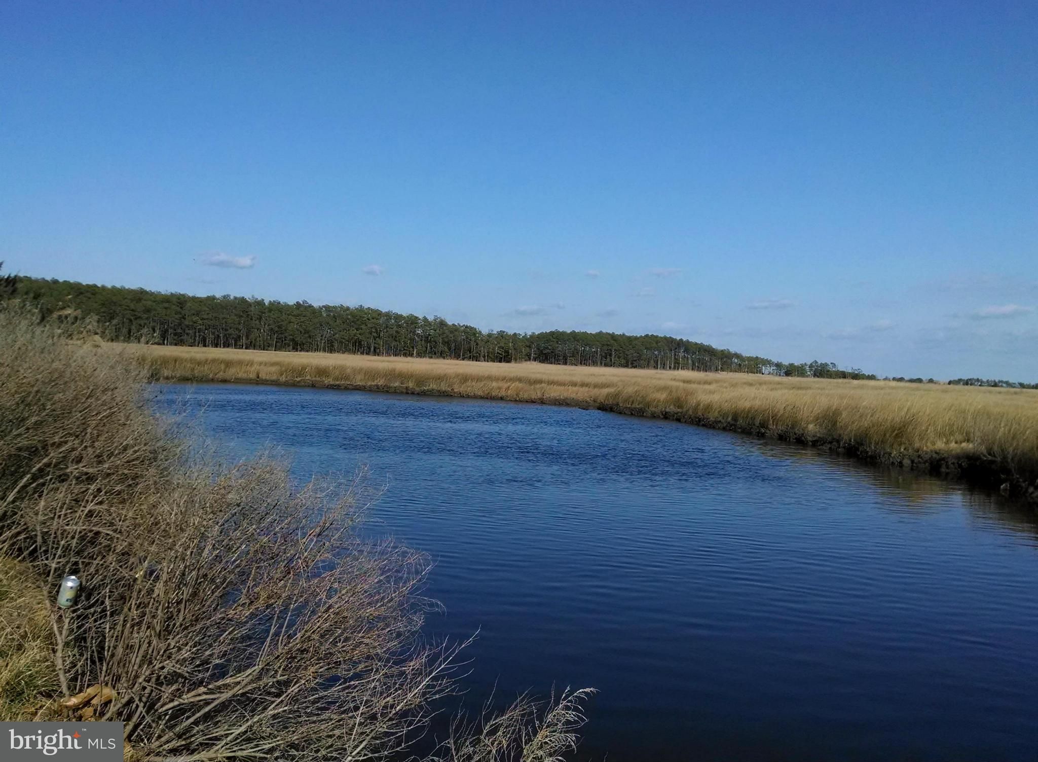 Toddville, Dorchester County, MD Undeveloped Land, Lakefront Property