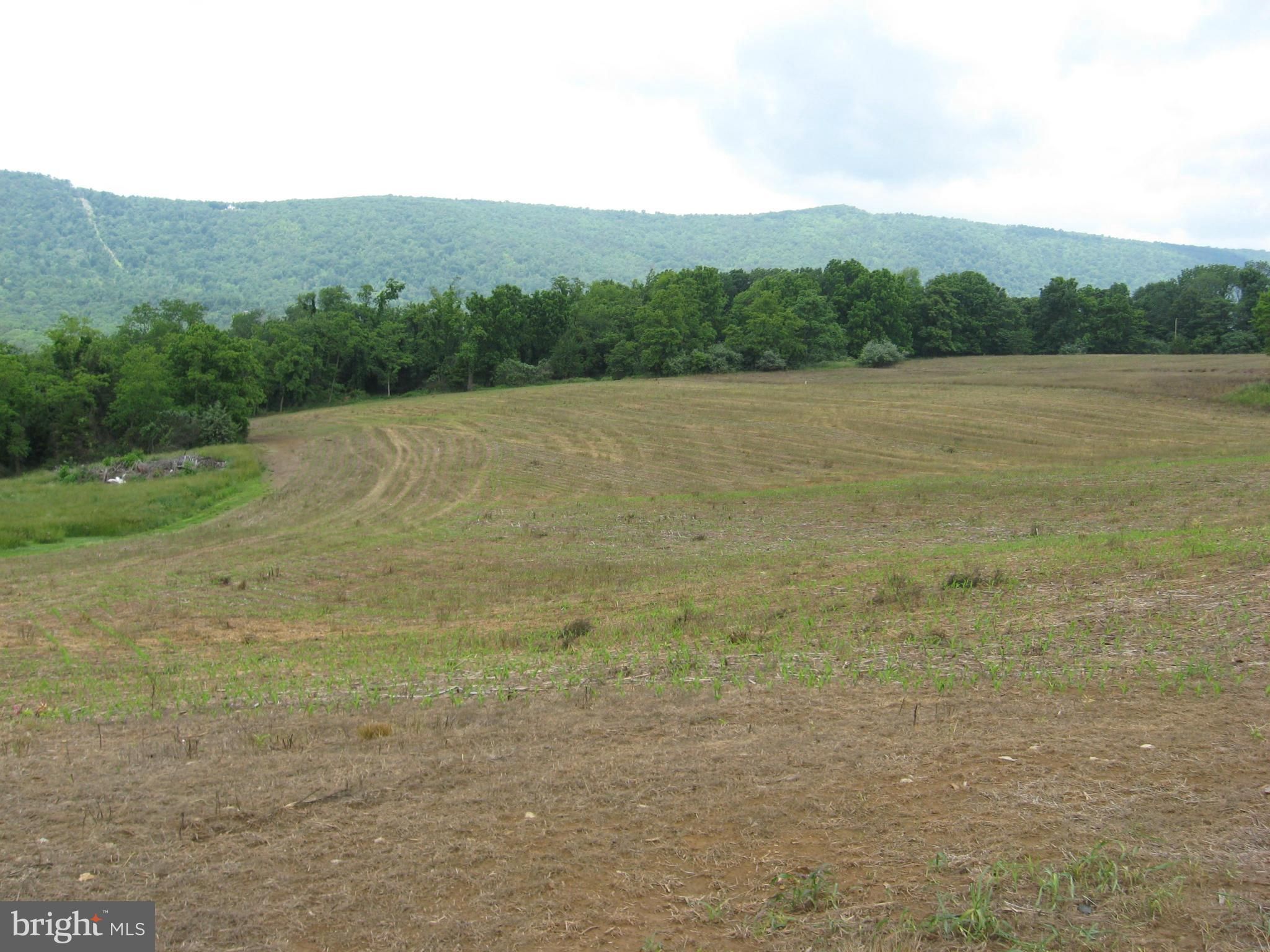 Maurertown, Shenandoah County, VA Undeveloped Land for sale Property ID