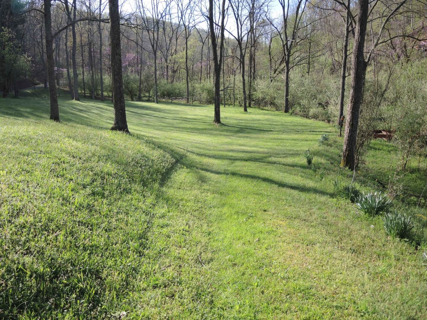 Napier, Braxton County, WV Homesites for sale Property ID 330220386