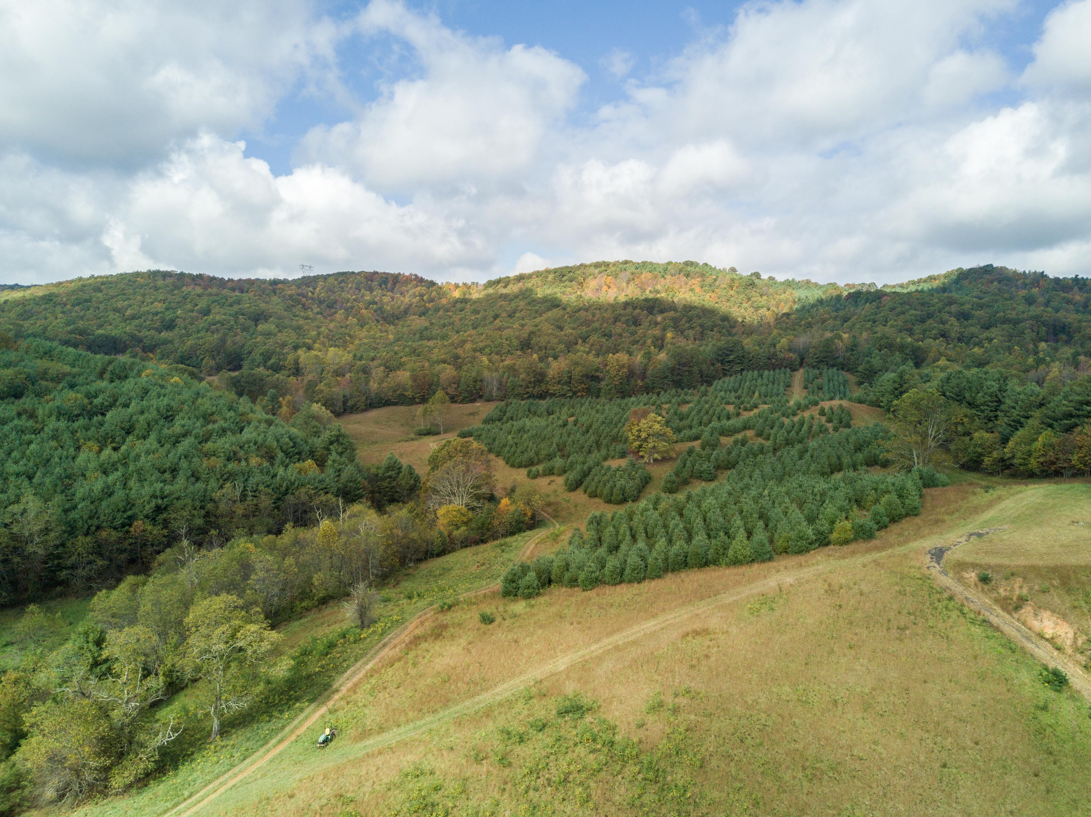 Indian Valley, Floyd County, VA Recreational Property, Hunting Property