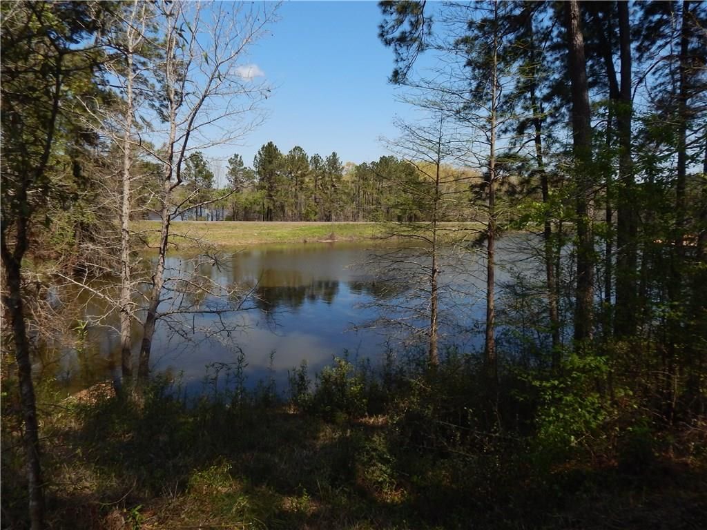 Zwolle, Sabine Parish, LA Undeveloped Land, Lakefront Property