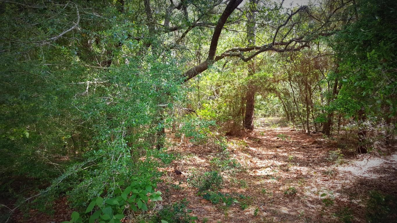 Mossy Head, Walton County, FL Undeveloped Land, Lakefront Property