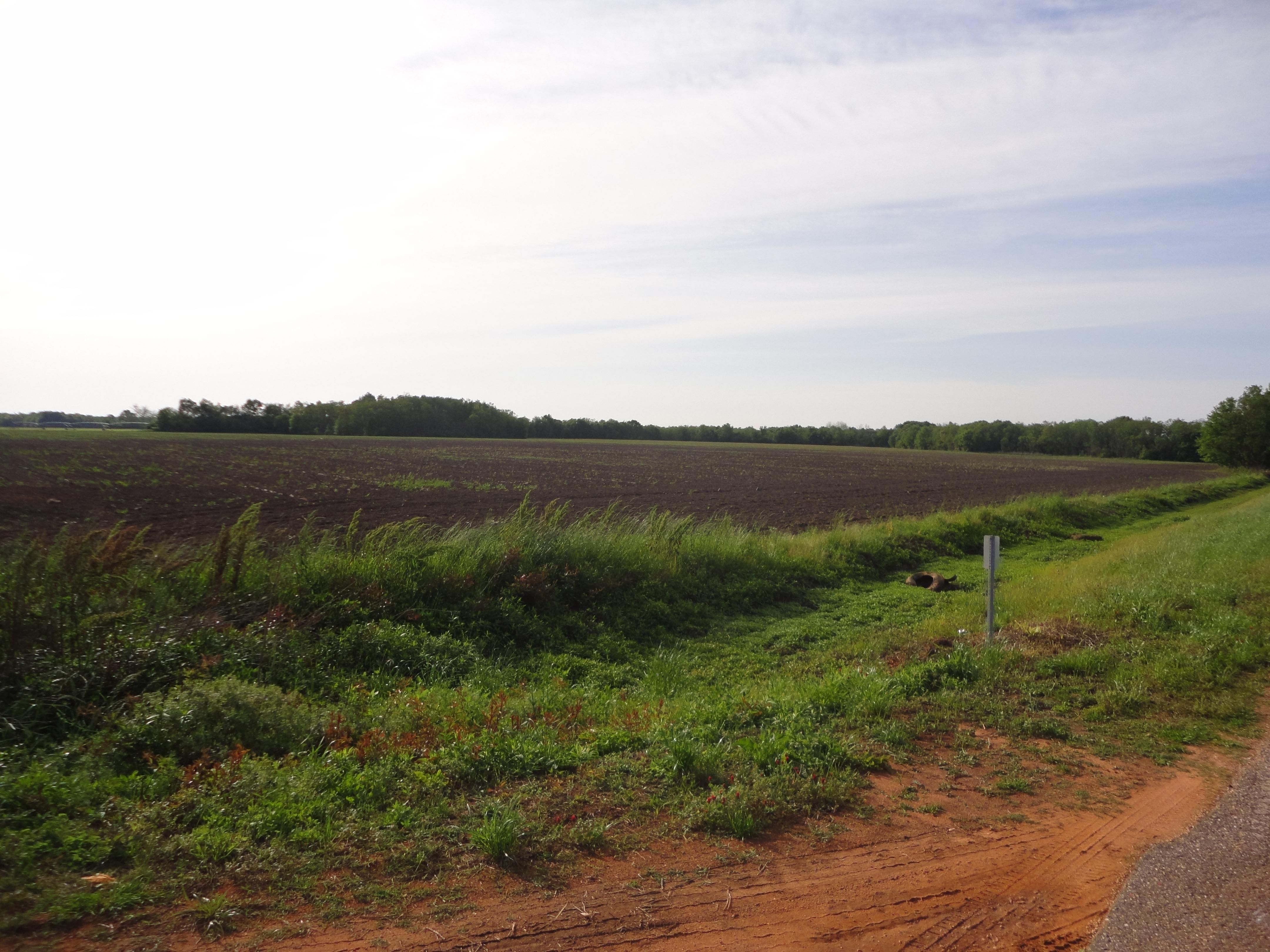 Summerdale, Baldwin County, AL Farms and Ranches, Undeveloped Land, Horse Property for sale