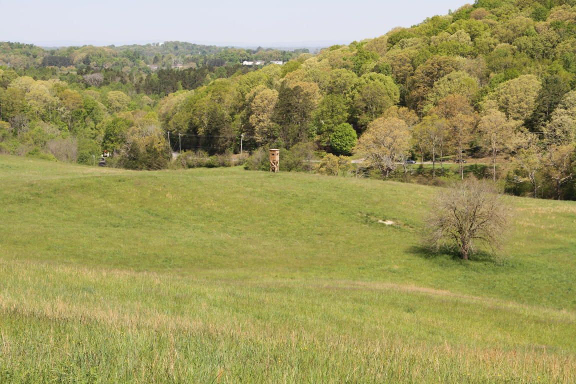 Loudon, Loudon County, TN Undeveloped Land for sale Property ID