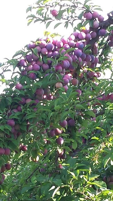 personal loans hard to get