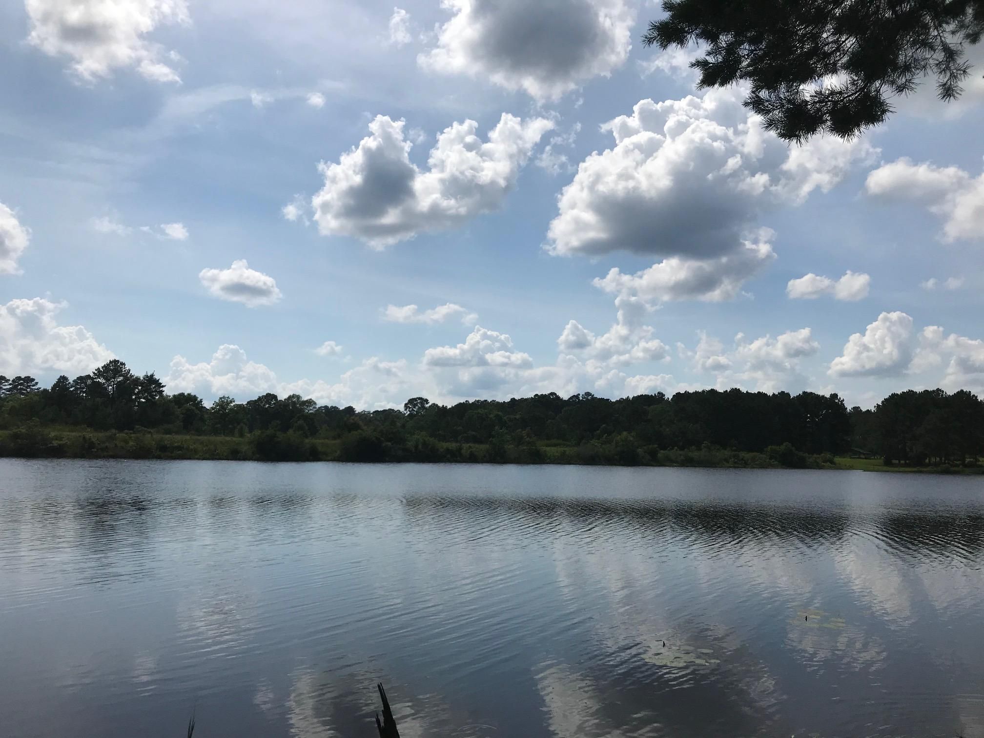 Bay Springs, Jasper County, MS Recreational Property, Lakefront