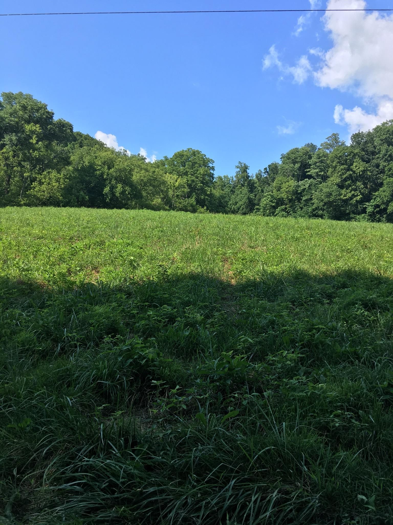 Beechgrove, Coffee County, TN Farms and Ranches for sale Property ID
