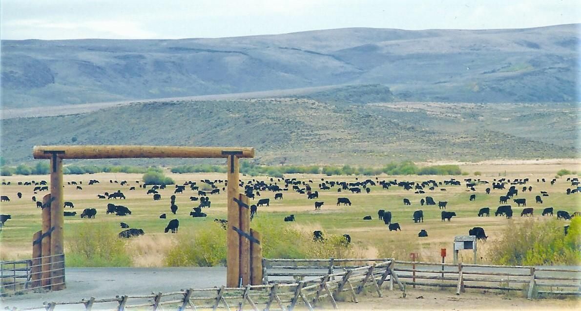 Three Creek, Twin Falls County, ID Farms and Ranches, House for sale