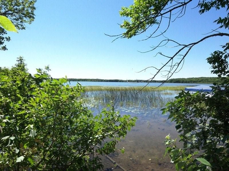 Bemidji, Beltrami County, MN Undeveloped Land, Homesites for sale