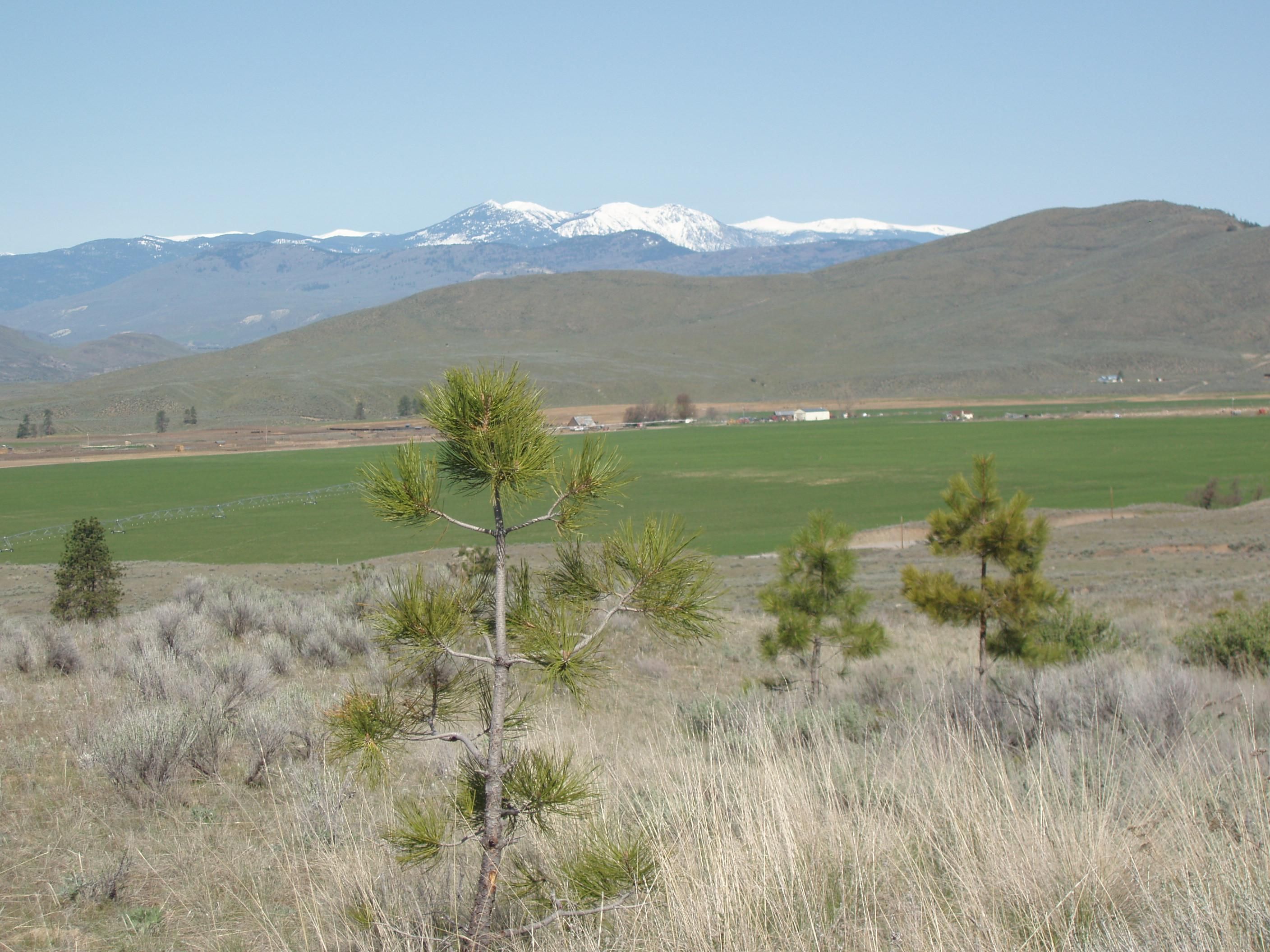 Tonasket, Okanogan County, WA Recreational Property, Horse Property for