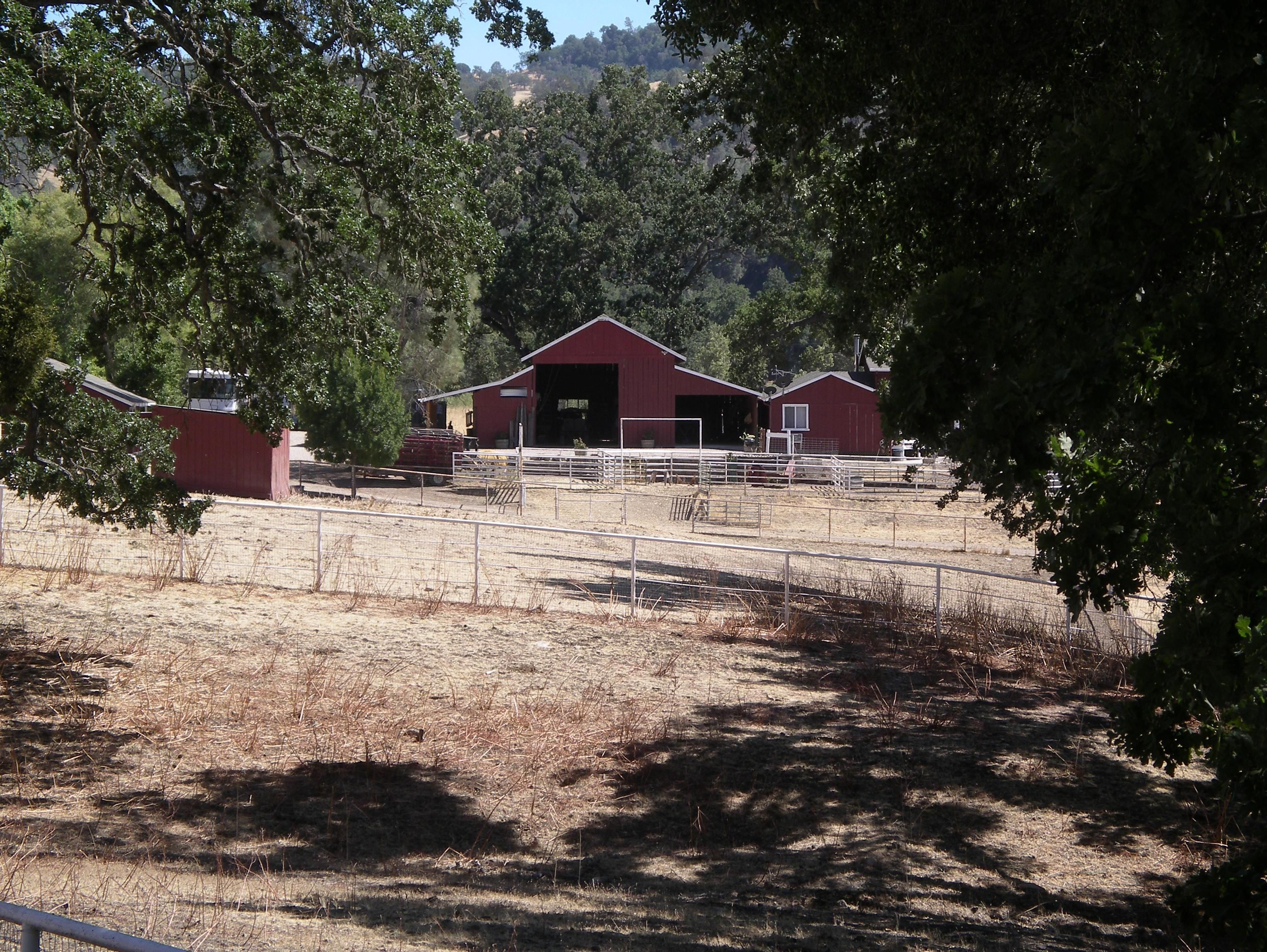 Paso Robles, San Luis Obispo County, CA Farms and Ranches, Horse