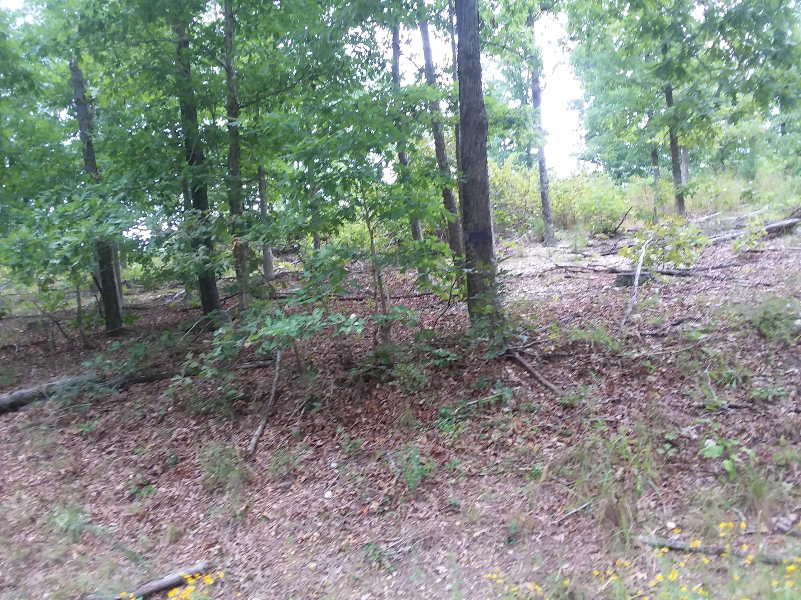 Willow Springs, Howell County, MO for sale Property ID 332641130