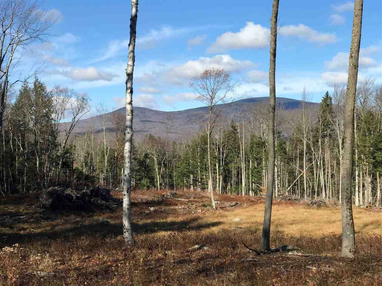 Stratton, Windham County, VT Undeveloped Land for sale Property ID