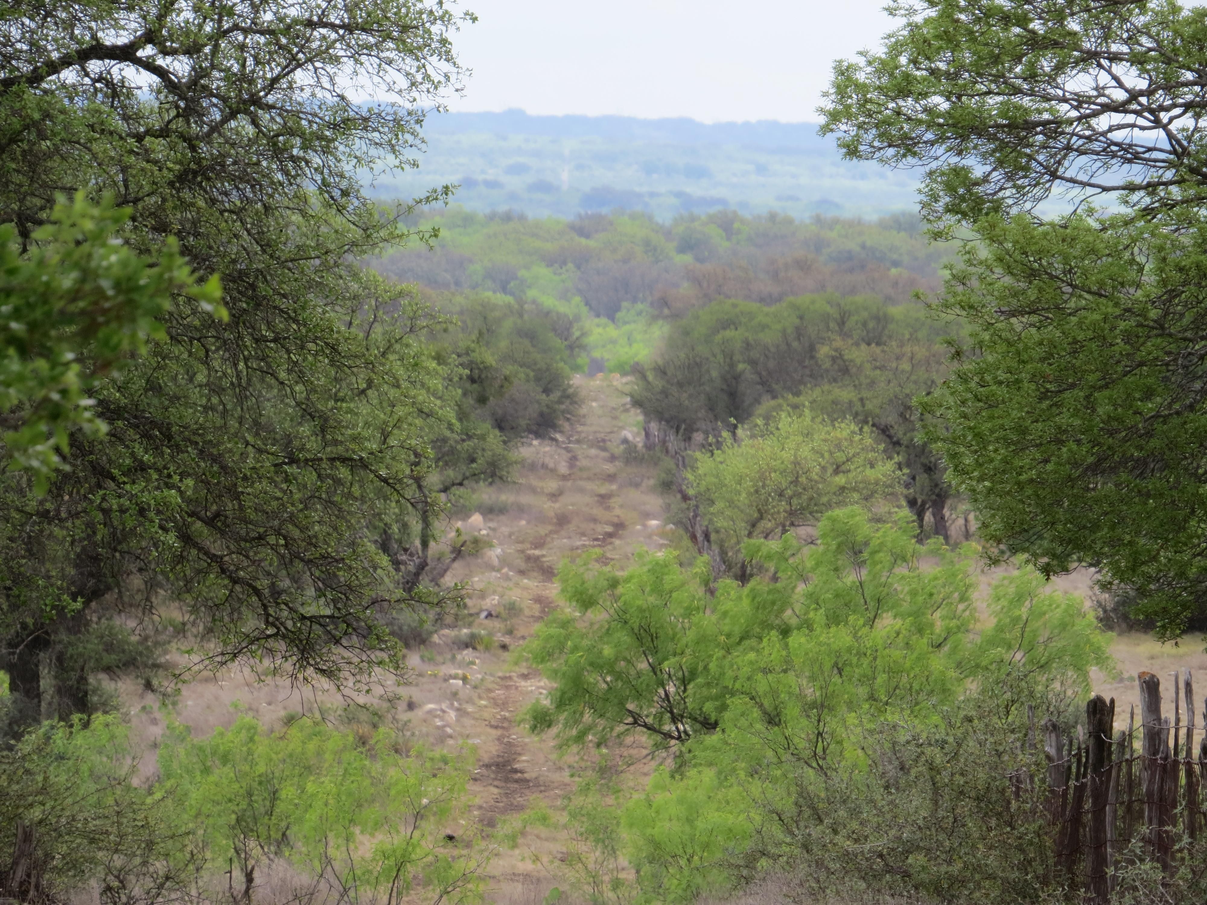 Menard, Menard County, TX Recreational Property, Undeveloped Land