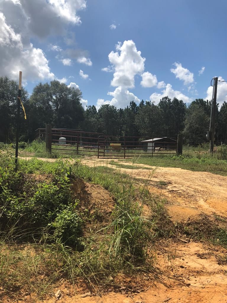 Douglas, Coffee County, GA Farms and Ranches for sale Property ID
