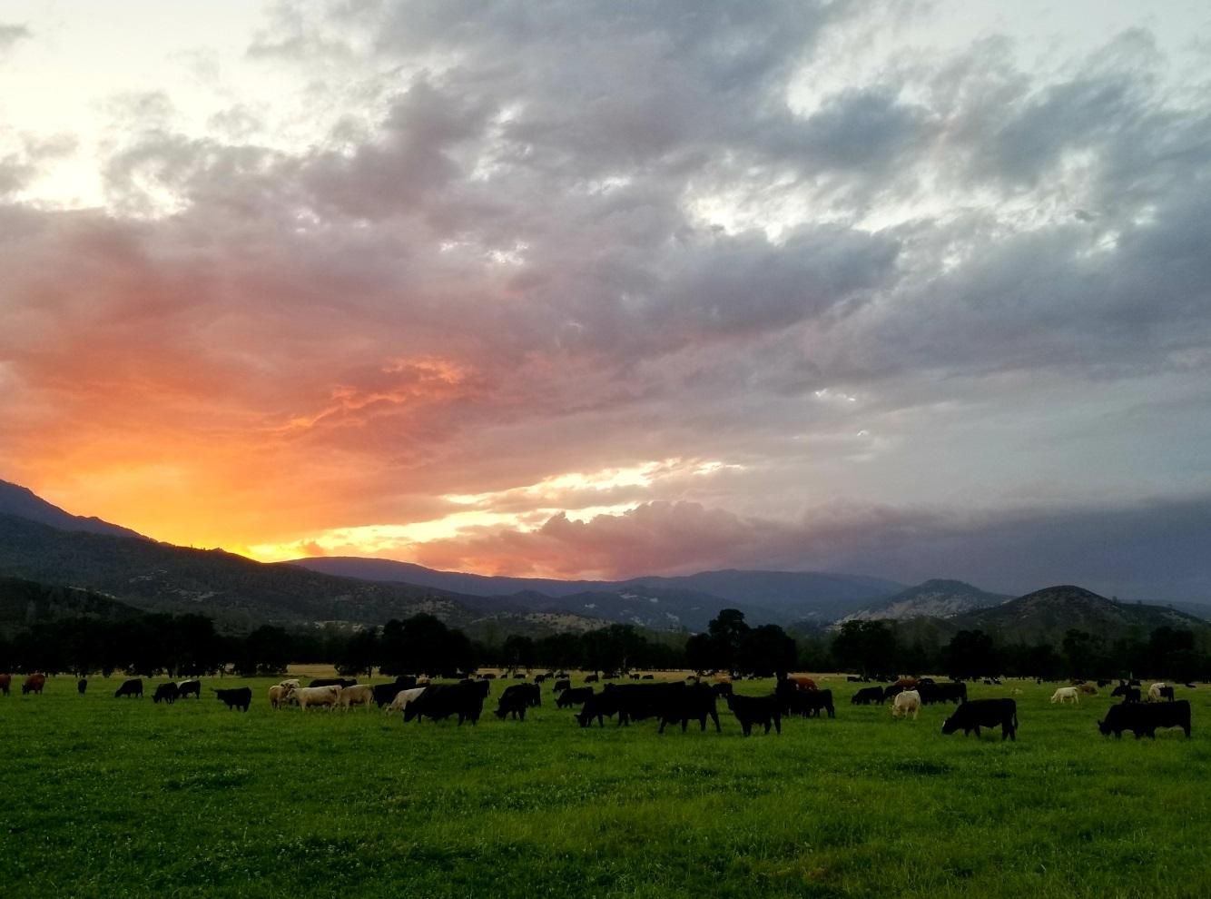 Elk Creek Glenn County CA Farms And Ranches Recreational Property