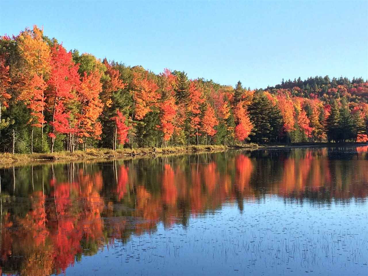 Whitingham, Windham County, VT Undeveloped Land, Lakefront Property