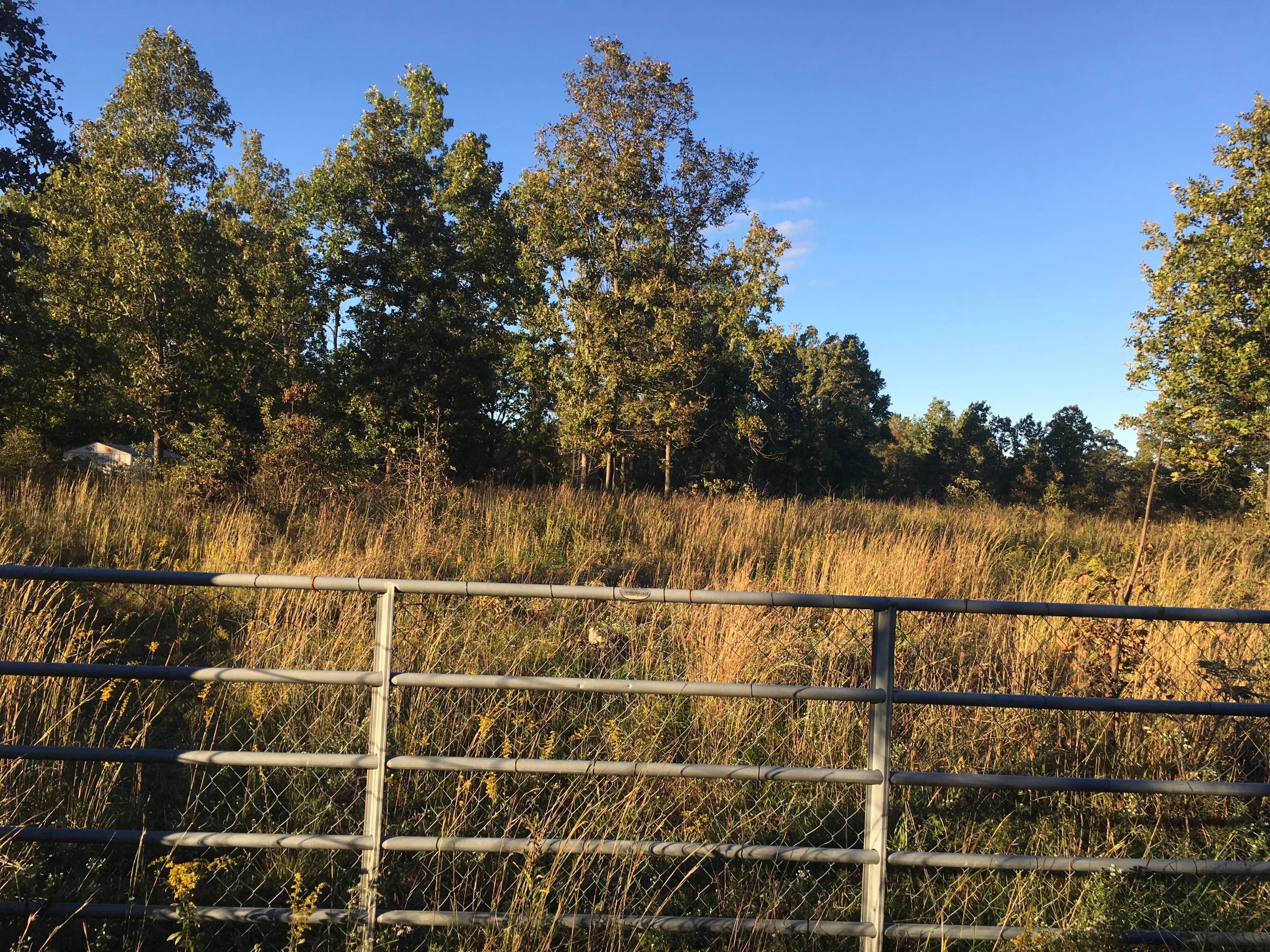 Birch Tree, Shannon County, MO Undeveloped Land for sale Property ID