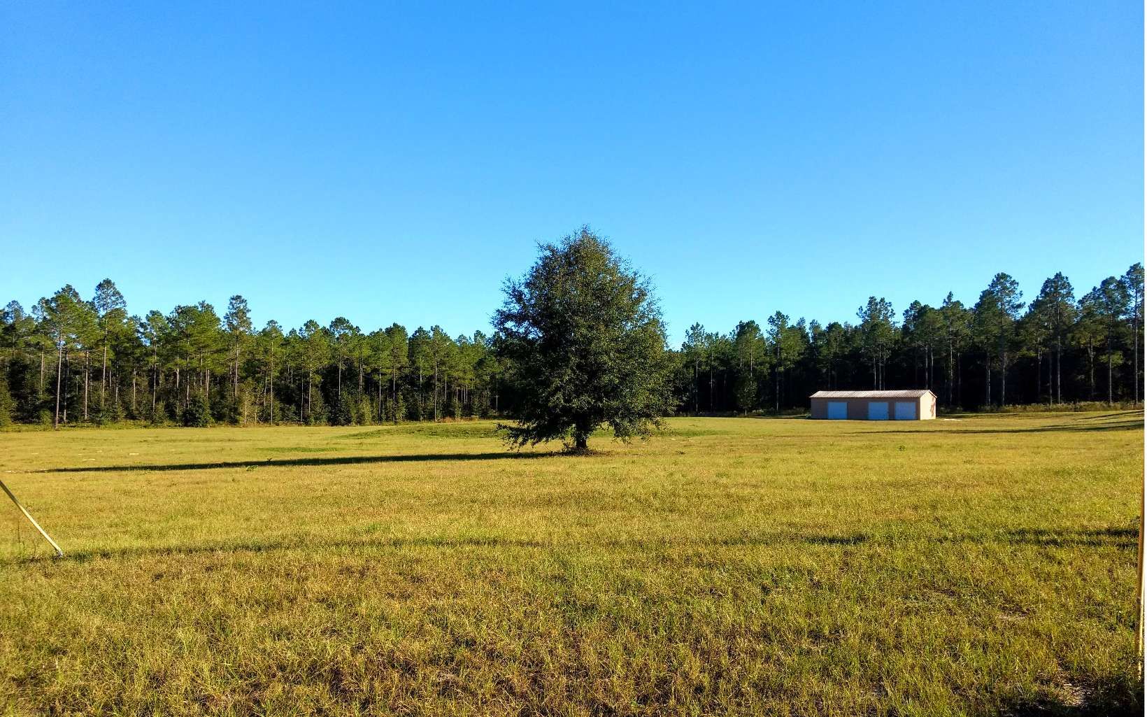 Live Oak, Suwannee County, FL Undeveloped Land, Homesites for sale