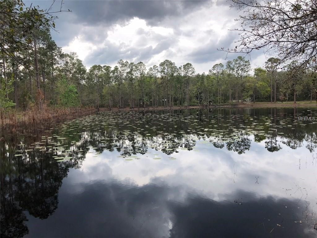 Lake Mary, Seminole County, FL Undeveloped Land, Lakefront Property