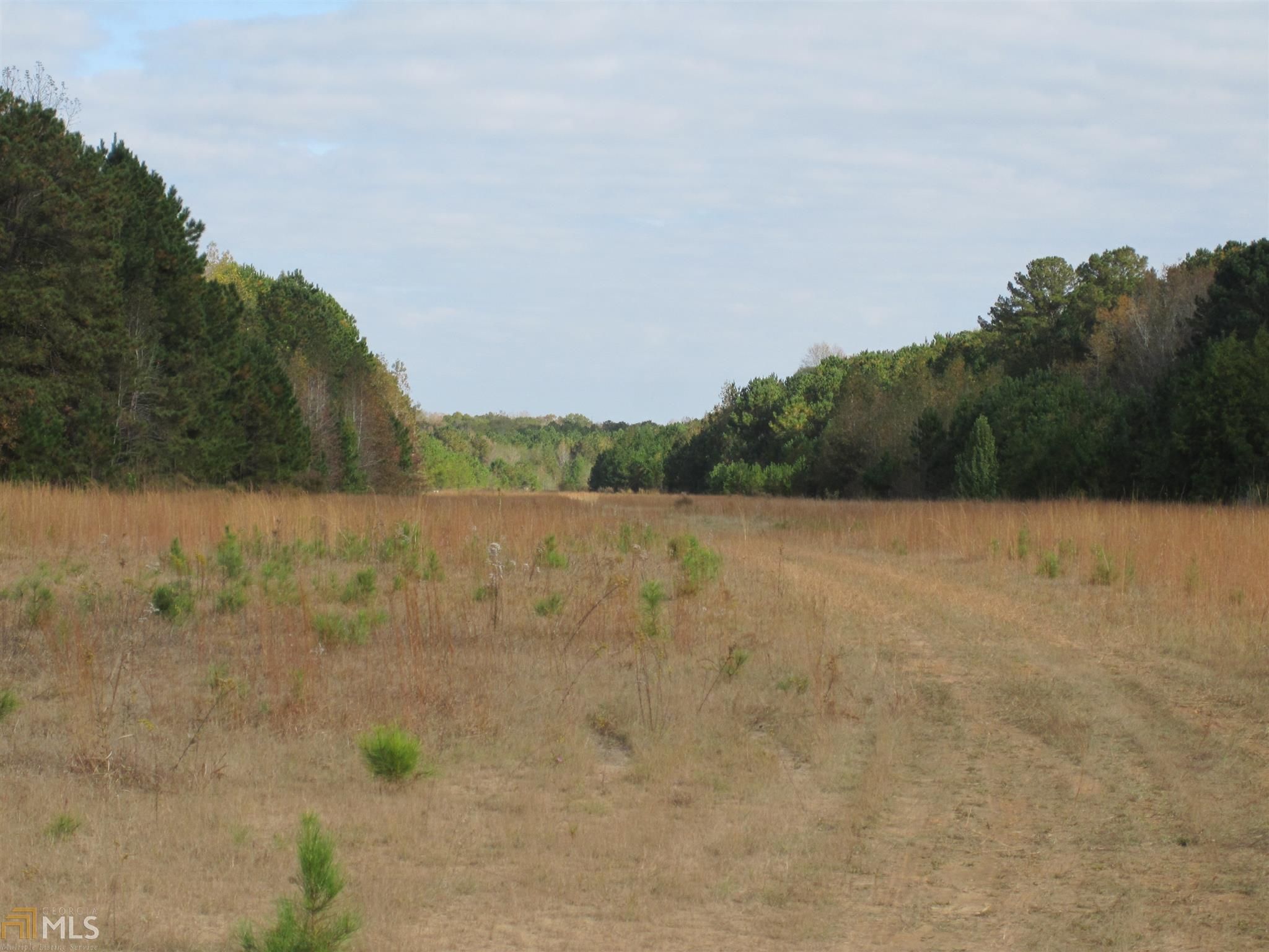Fayetteville, Fayette County, GA Undeveloped Land for sale Property ID