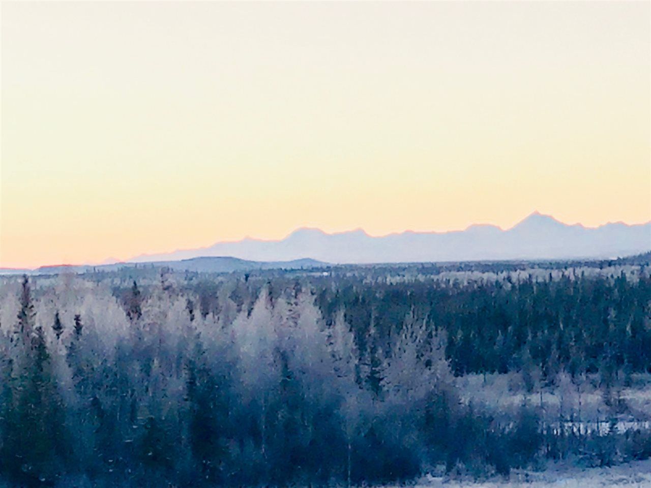 Fairbanks, Fairbanks North Star Borough, AK Undeveloped Land for sale Property ID 333369153