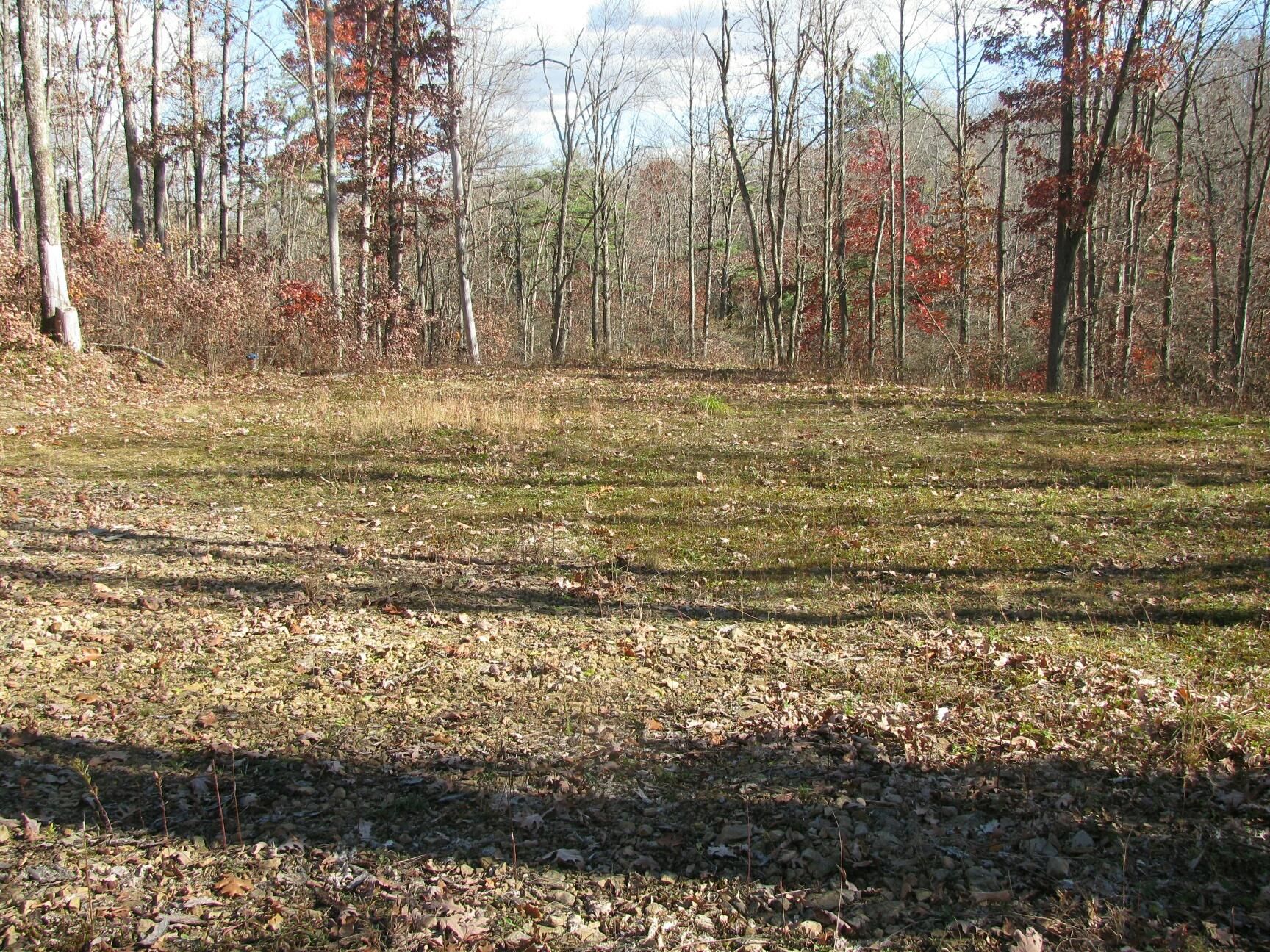 Clarence, Centre County, PA Recreational Property, Undeveloped Land