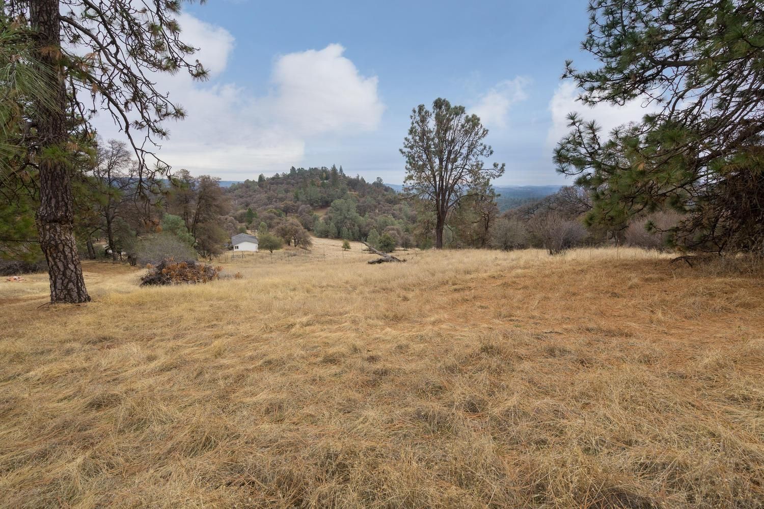 Garden Valley, El Dorado County, CA Recreational Property, Horse