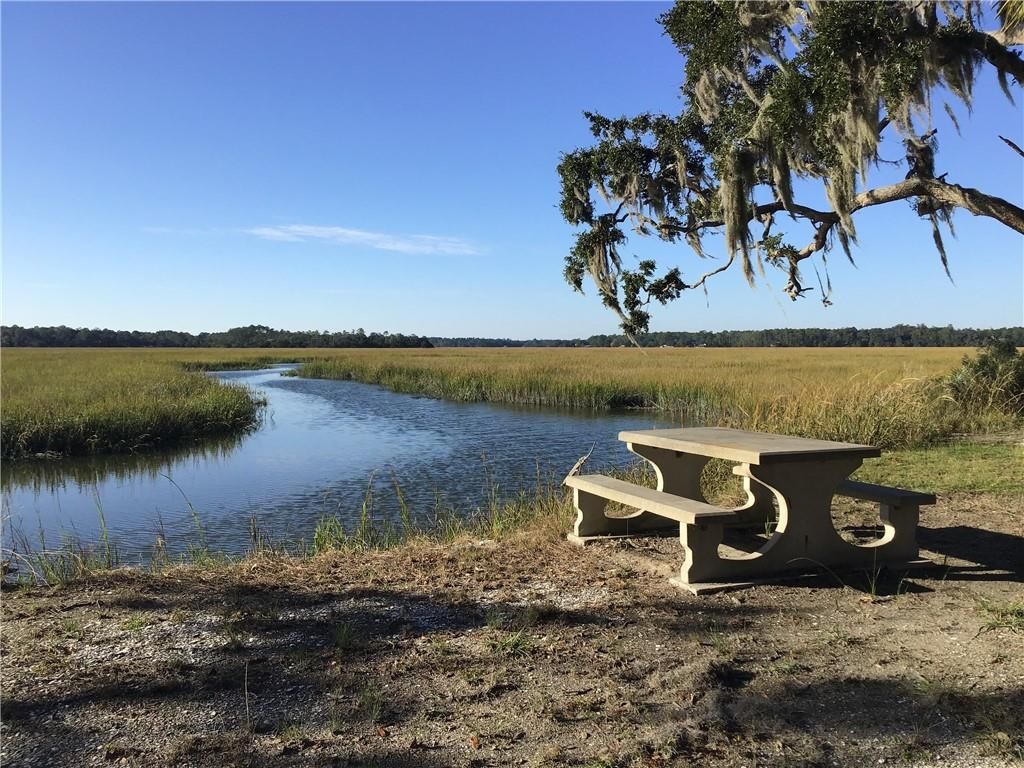 Shellman Bluff, McIntosh County, GA Undeveloped Land, Homesites for
