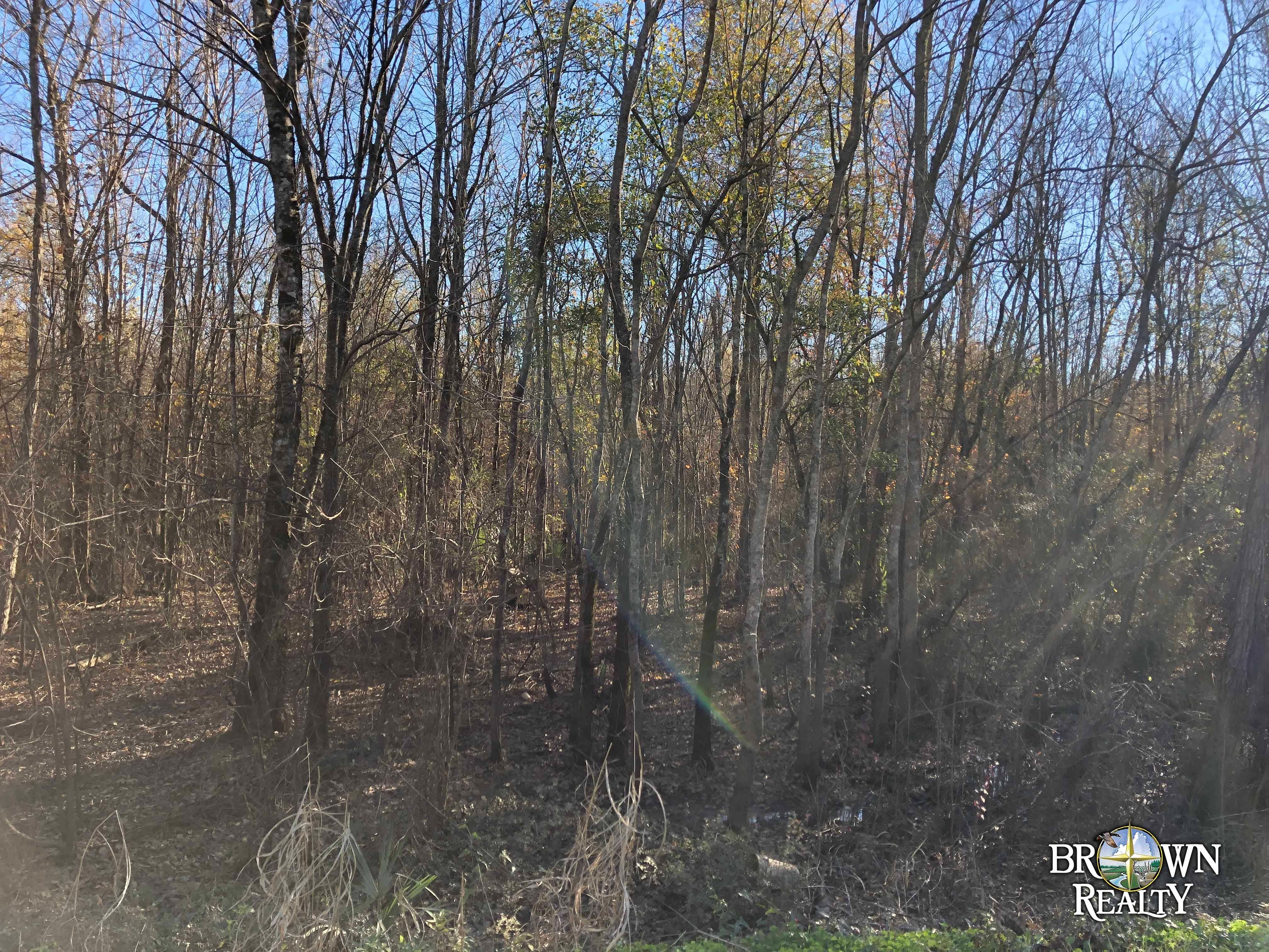 Baskin, Franklin Parish, LA Timberland Property, Hunting Property for