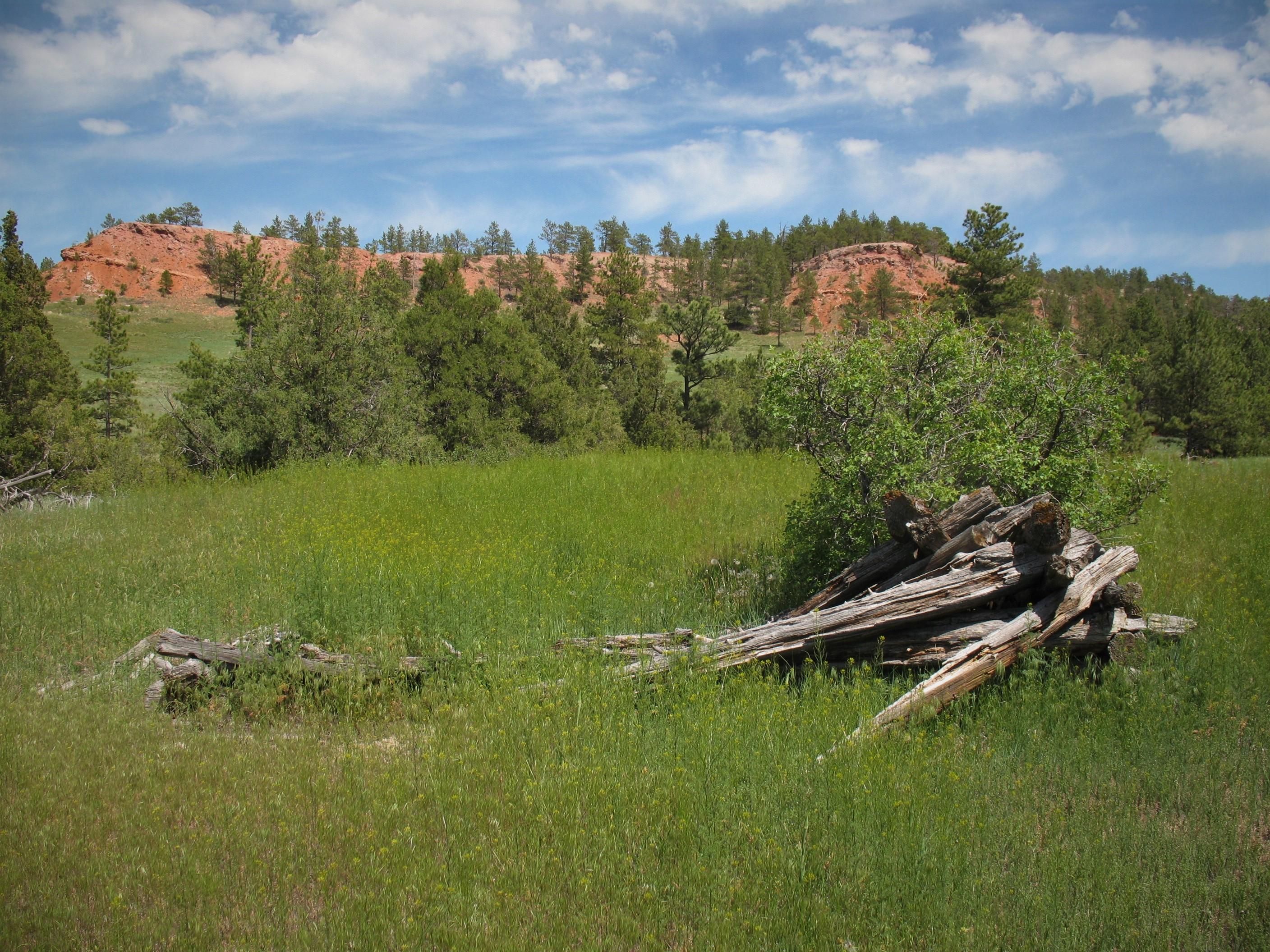 Hot Springs, Custer County, SD Farms and Ranches, Undeveloped Land