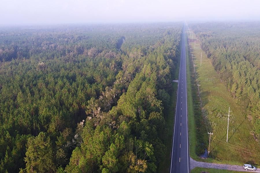 Otter Creek, Levy County, FL Recreational Property, Timberland Property